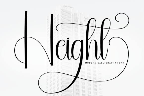 Height Font: Elevating Editorial Design with Bold Typography