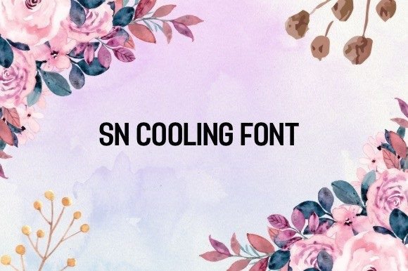 Sn Cooling Font: Elevating Brand Communication with Elegant Typography
